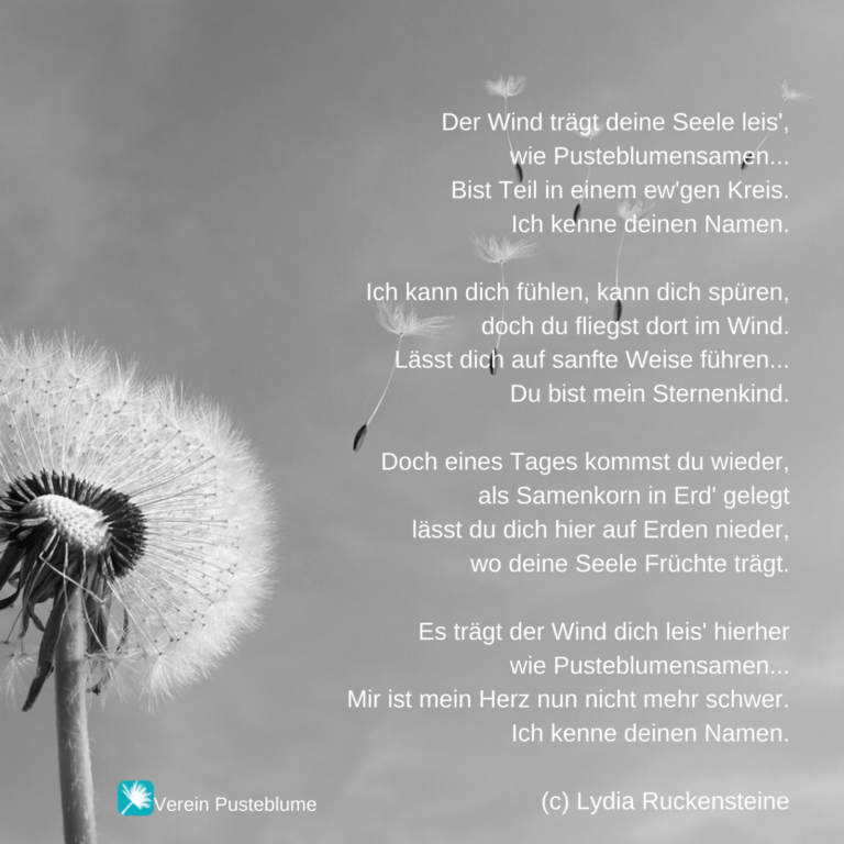 Read more about the article Du bist mein Sternenkind
